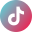 TikTok Icon